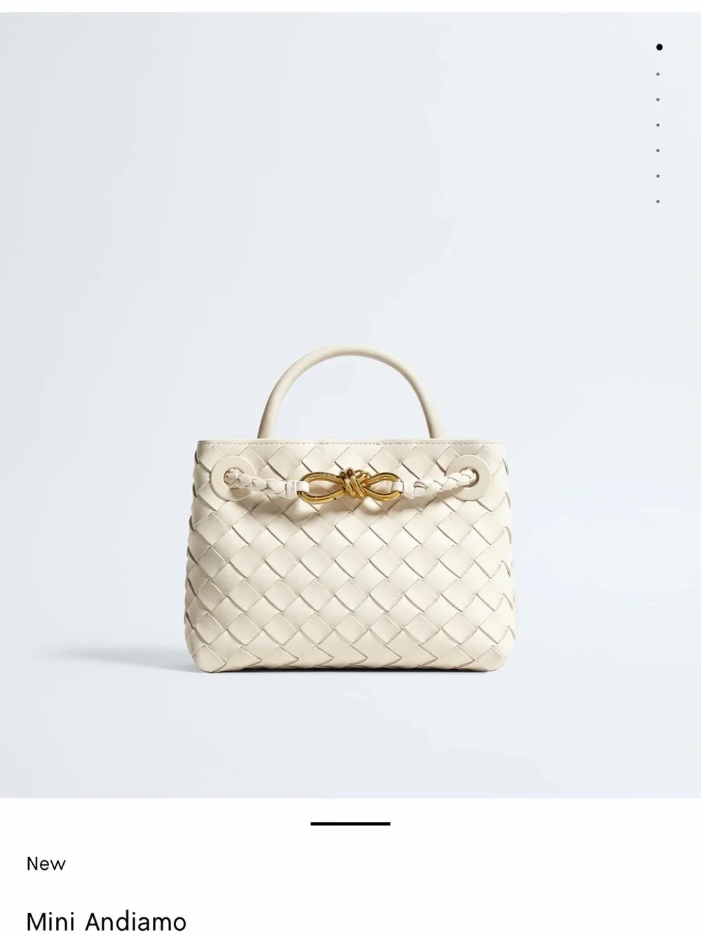 Bottega Veneta Mini Andiamo